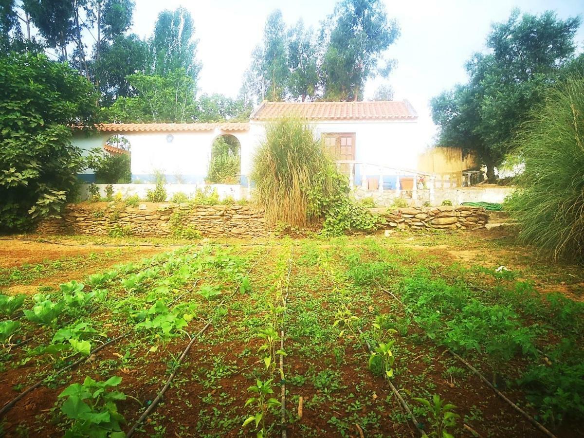 Monte Dos Tres Pocos Villa Cercal do Alentejo Buitenkant foto